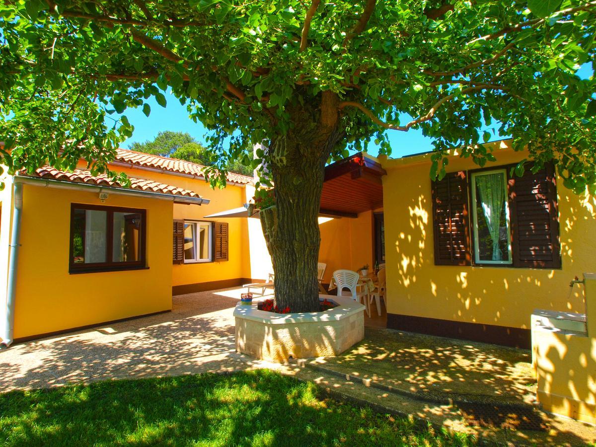 House 1037 Villa Fažana Exteriör bild